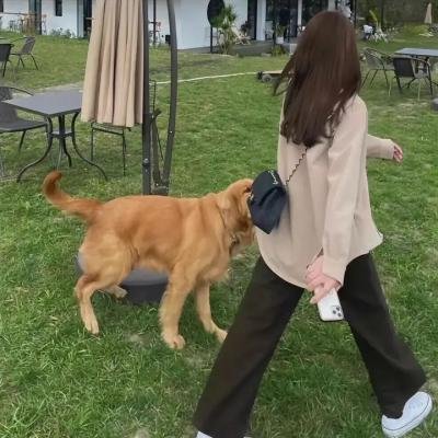 最后的战士