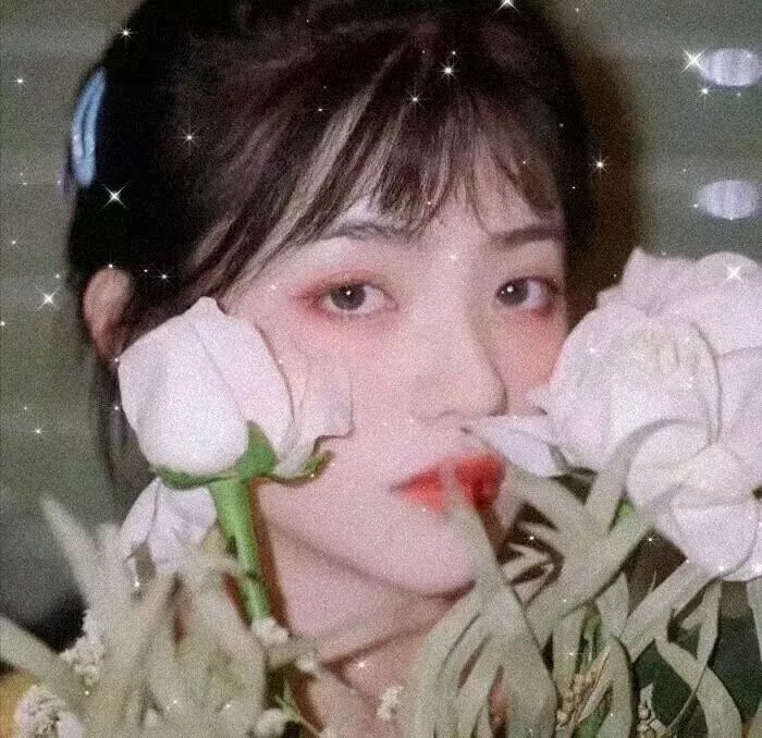 光影之妓