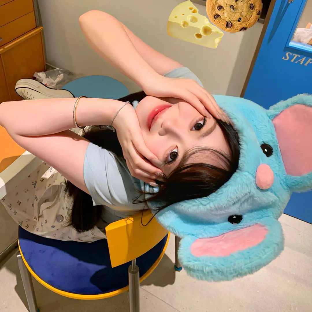 礼貌社会